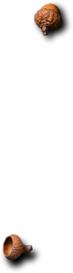 Royal Plate - Restaurant & Catering HTML Template